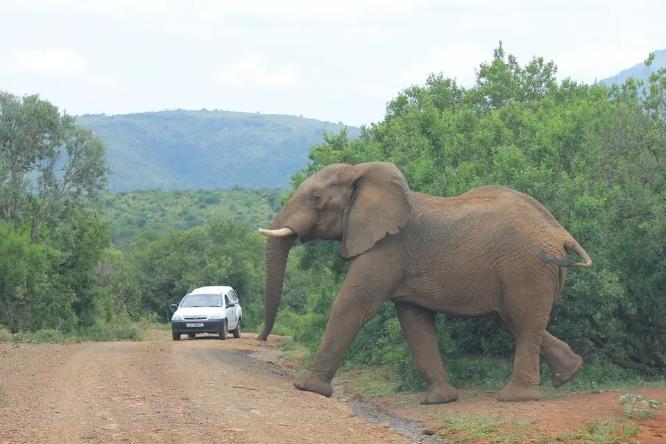KZN27_(155).jpg