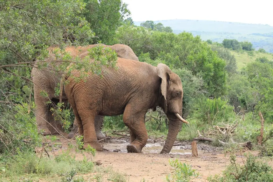 KZN27_(166).jpg