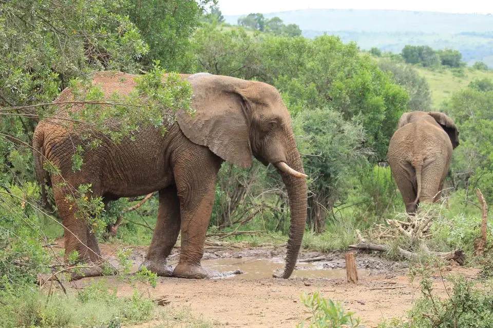 KZN27_(171).jpg