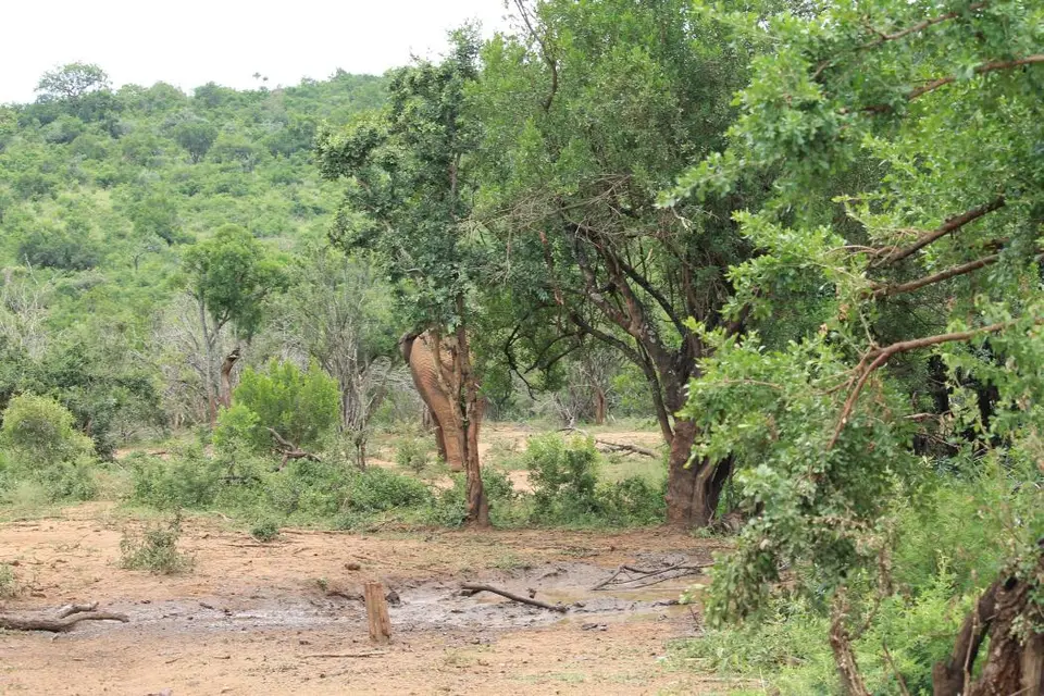 KZN27_(172).jpg