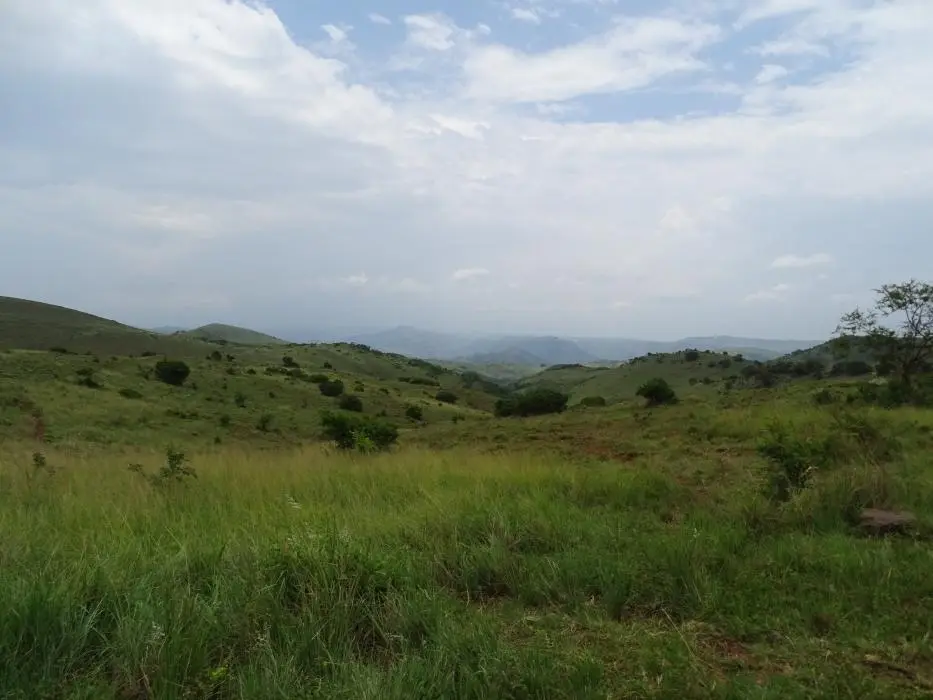 KZN27_(173).jpg