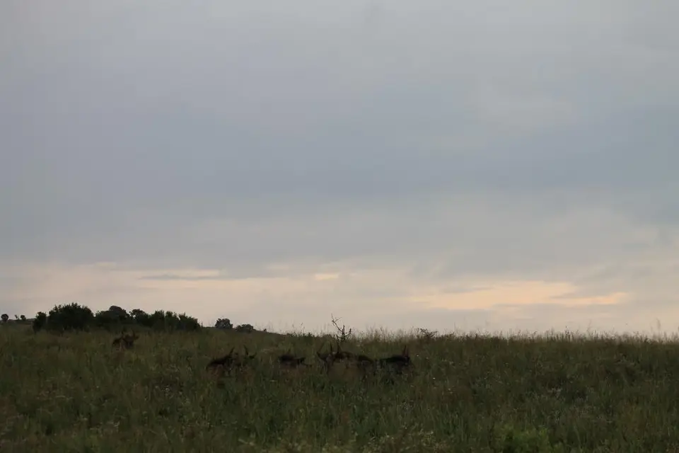 KZN27_(198).jpg