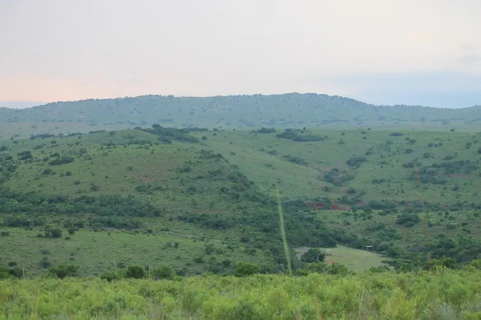 KZN27_(20).jpg