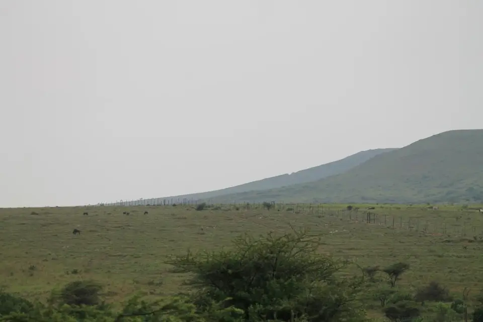 KZN27_(205).jpg