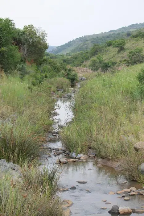 KZN27_(21).jpg