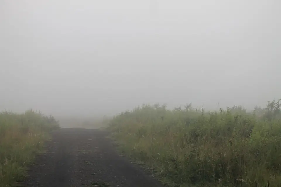 KZN27_(243).jpg