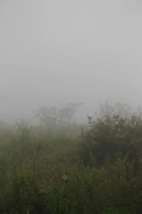 KZN27_(244).jpg