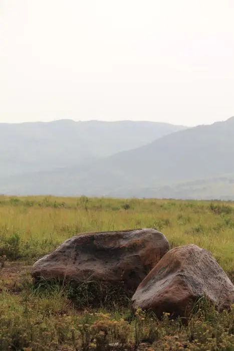 KZN27_(247).jpg