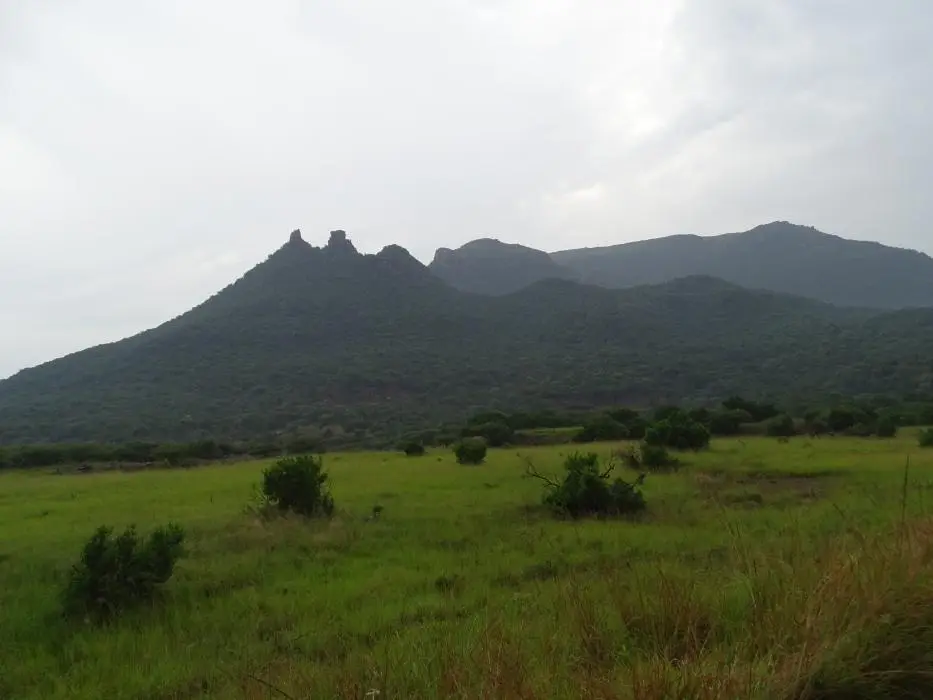 KZN27_(249).jpg
