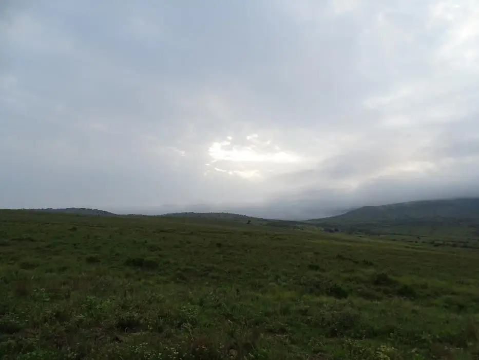 KZN27_(29).jpg