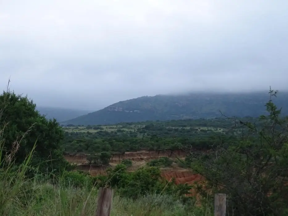 KZN27_(3).jpg