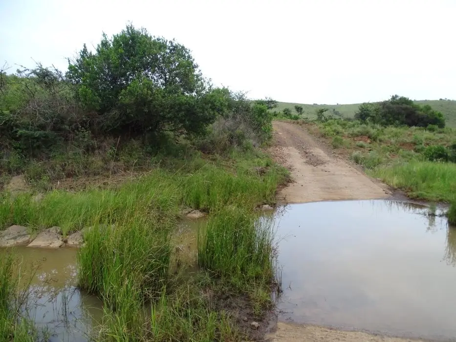 KZN27_(30).jpg
