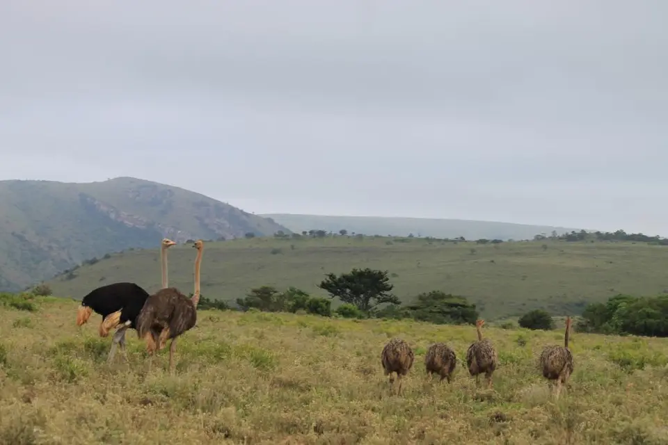 KZN27_(44).jpg