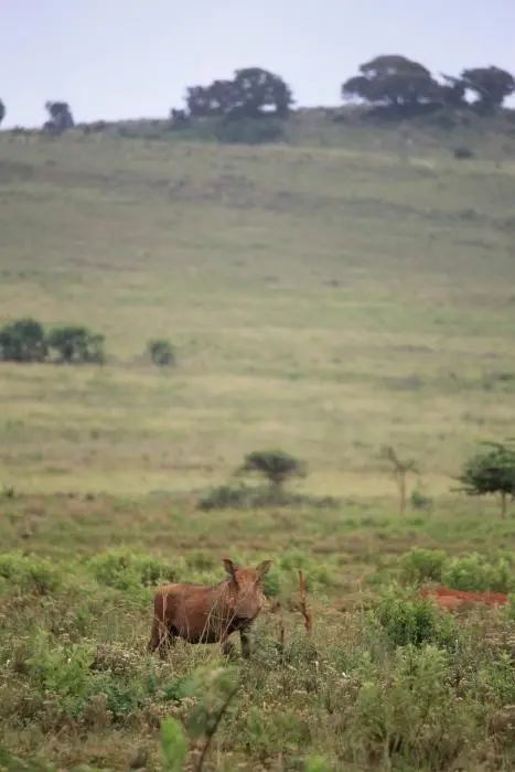 KZN27_(53).jpg