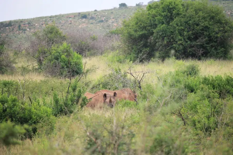 KZN27_(60).jpg