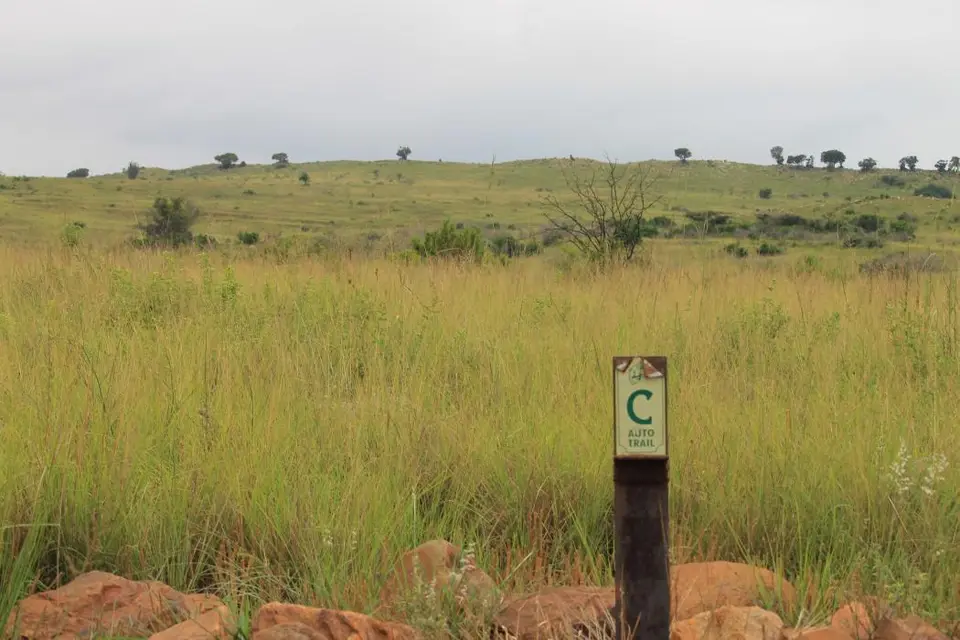 KZN27_(62).jpg
