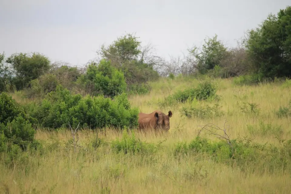 KZN27_(63).jpg