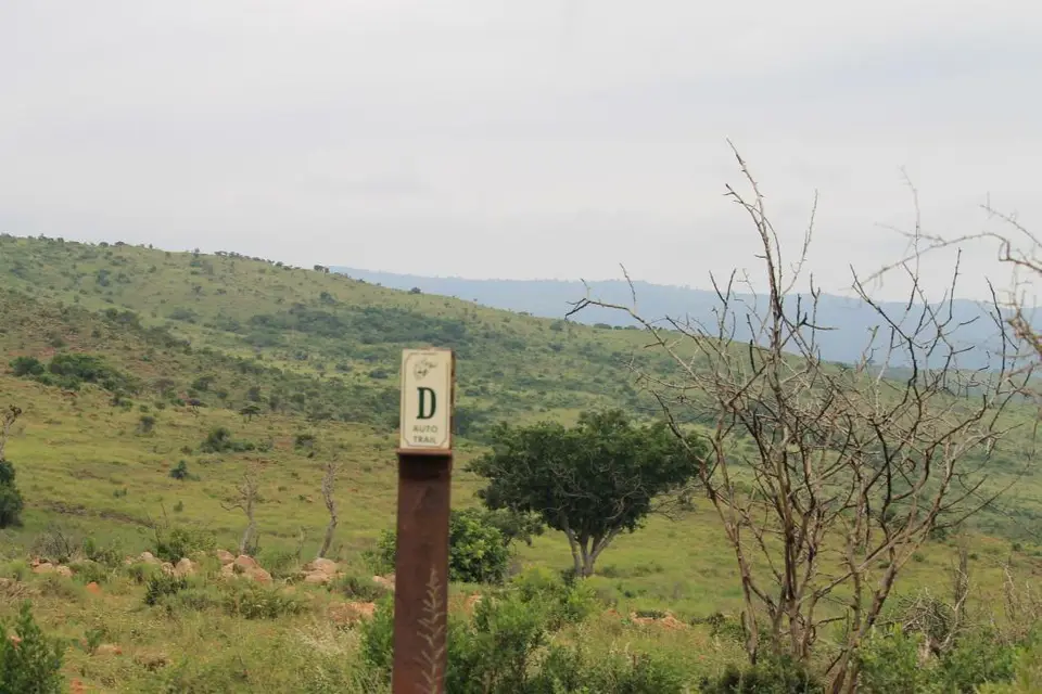 KZN27_(64).jpg
