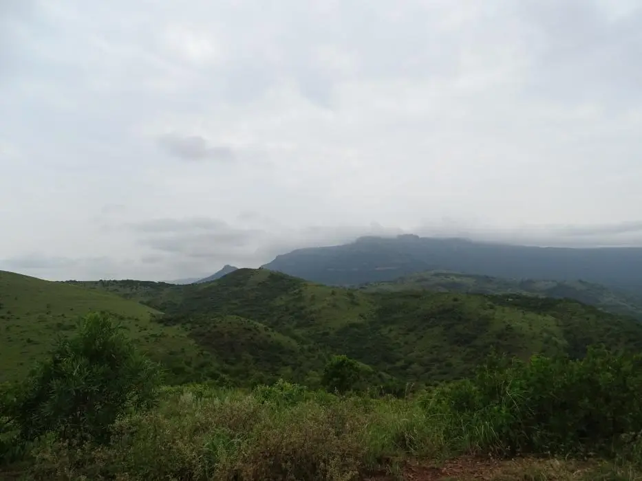 KZN27_(76).jpg
