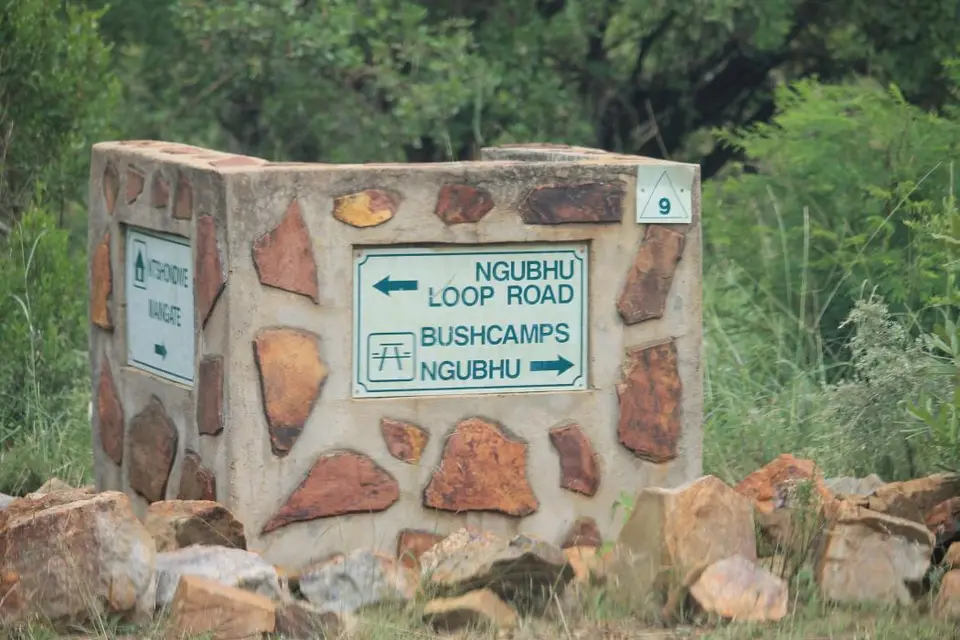 KZN27_(84).jpg