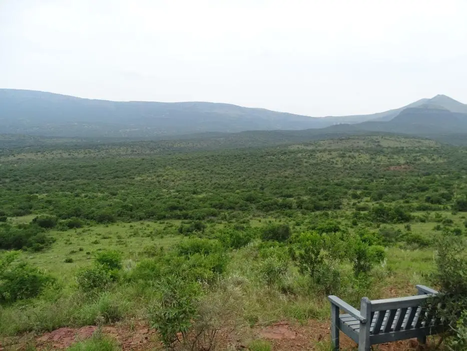 KZN27_(85).jpg