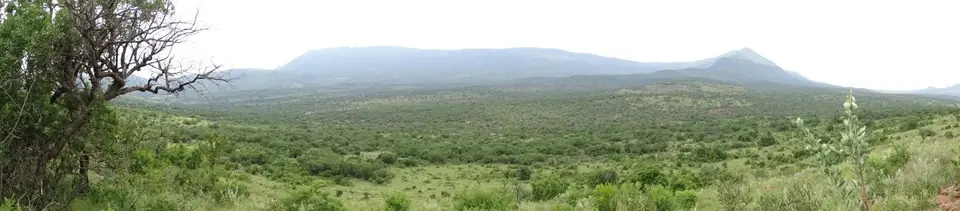 KZN27_(86).jpg