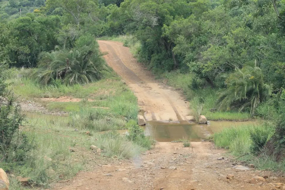 KZN27_(88).jpg