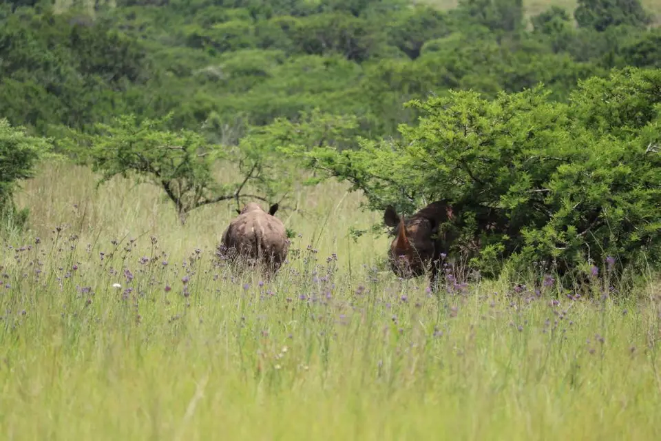 KZN28_(109).jpg