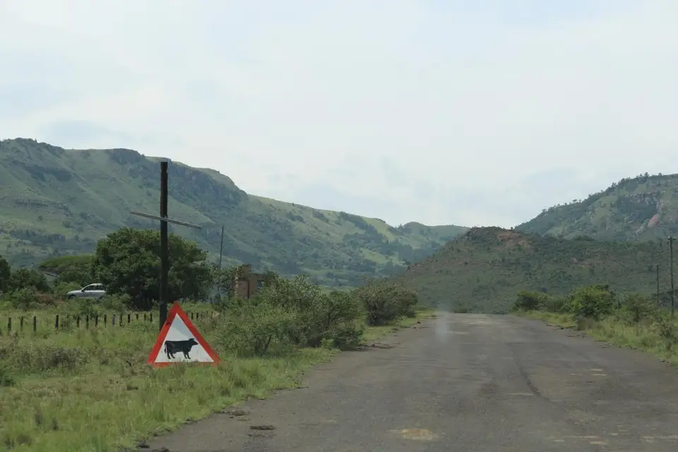 KZN28_(115).jpg