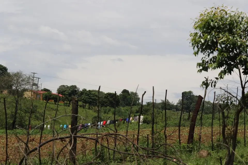 KZN28_(119).jpg