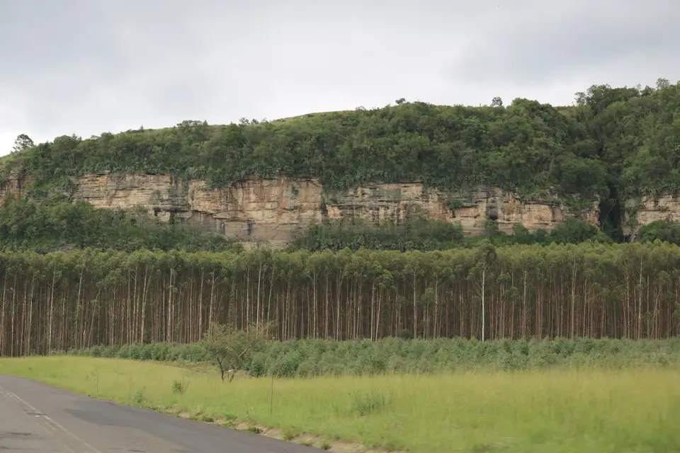 KZN28_(127).jpg