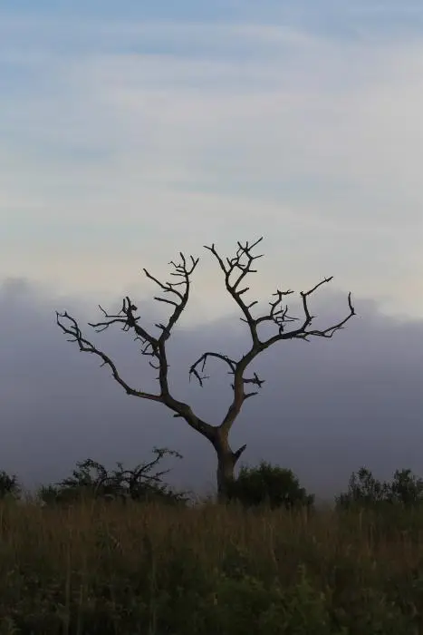 KZN28_(22).jpg