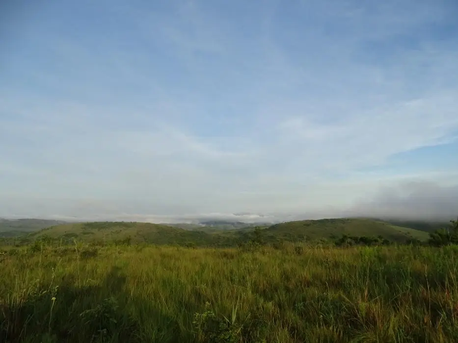KZN28_(24).jpg