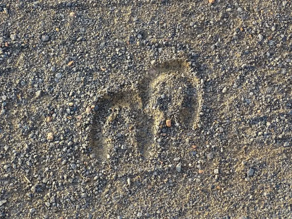 KZN28_(25).jpg