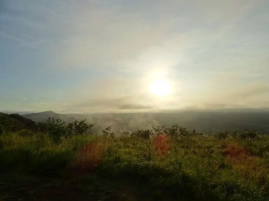 KZN28_(26).jpg