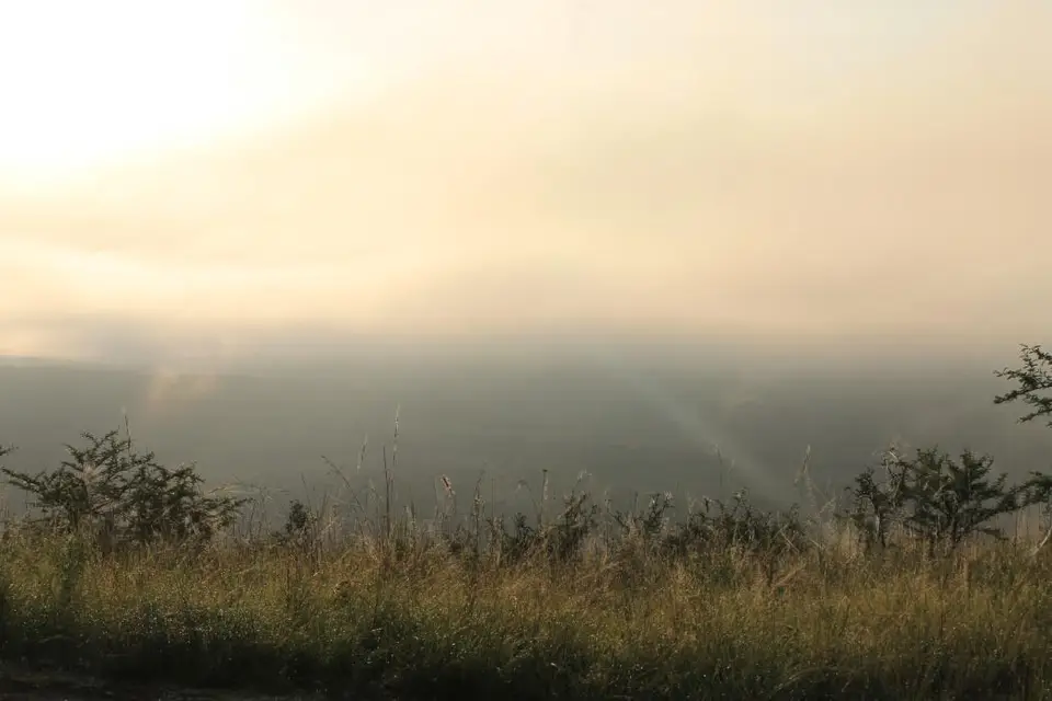 KZN28_(31).jpg