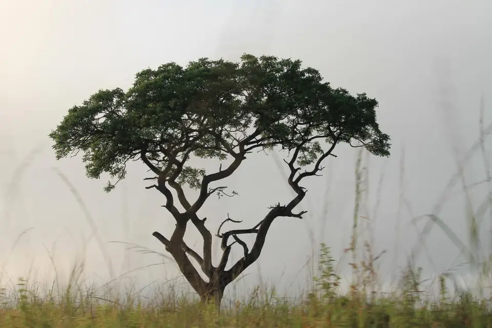 KZN28_(32).jpg