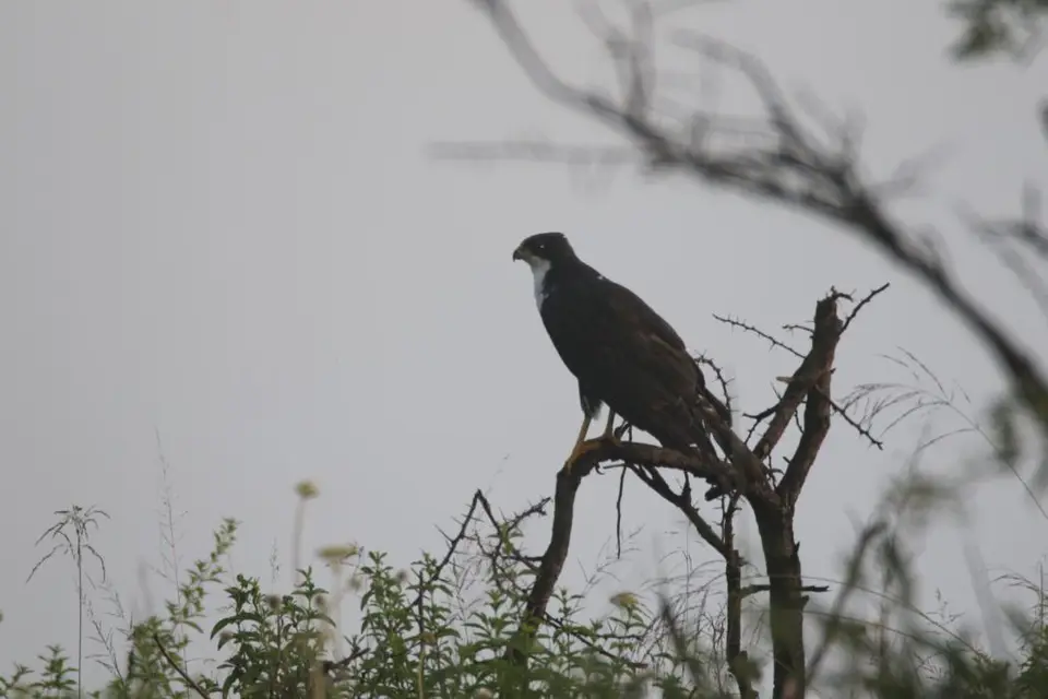 KZN28_(42).jpg