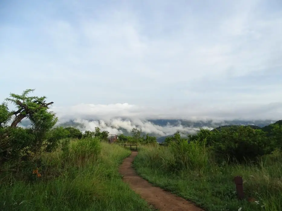 KZN28_(48).jpg