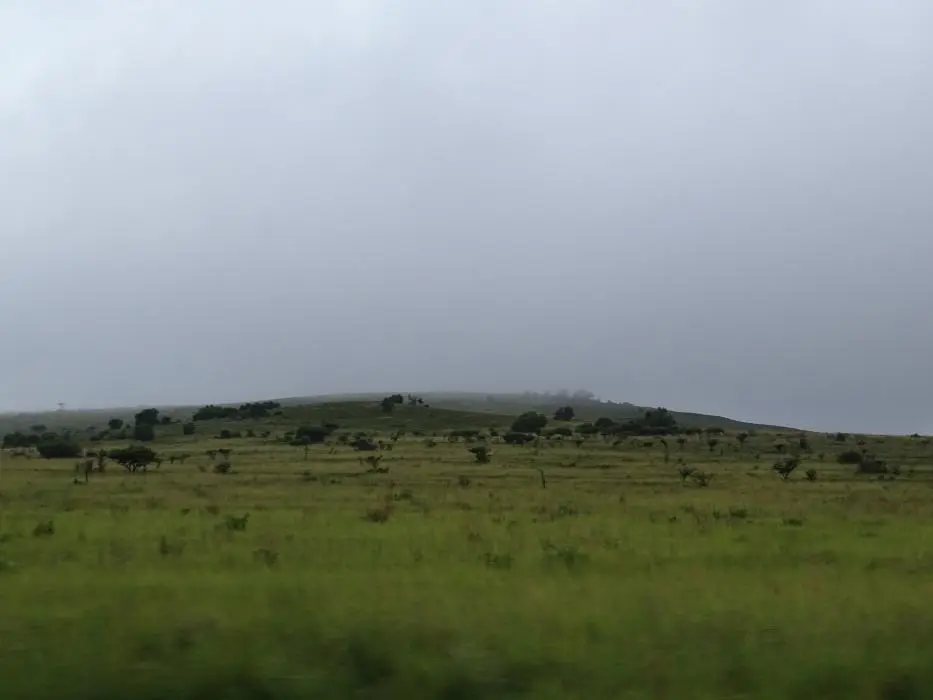 KZN28_(5).jpg