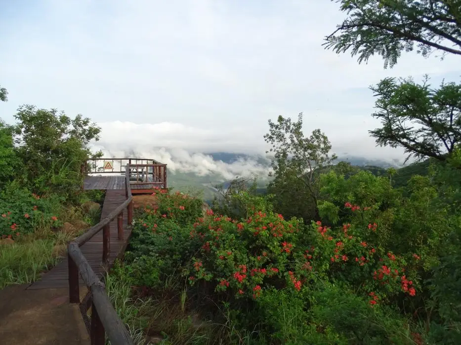 KZN28_(51).jpg
