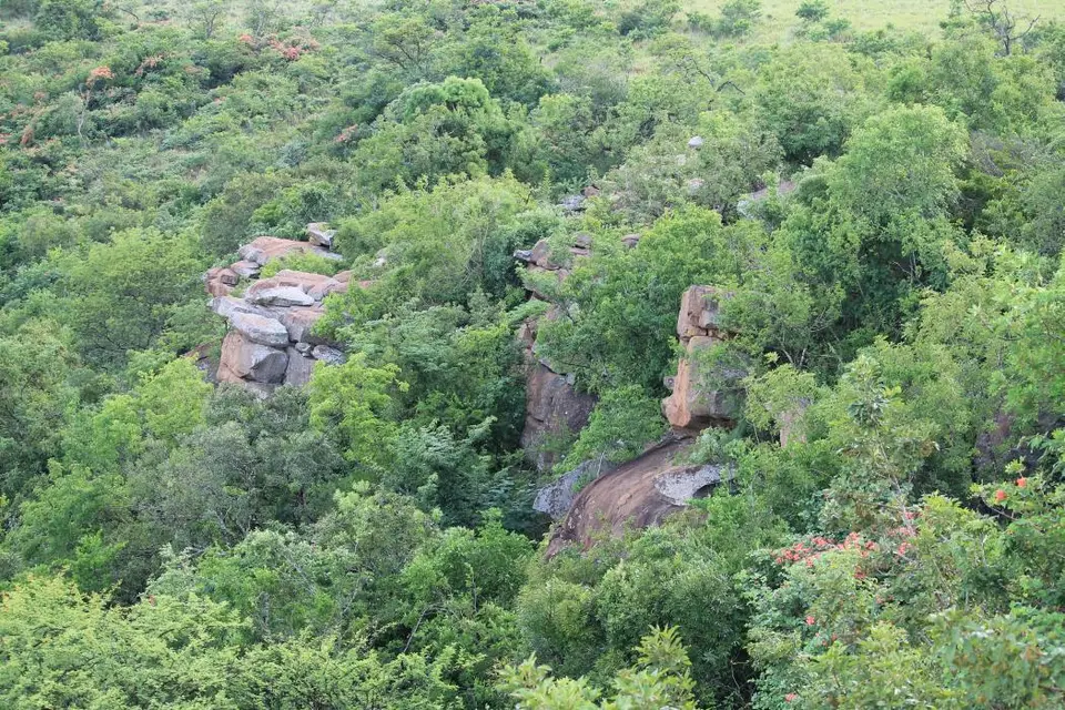 KZN28_(56).jpg