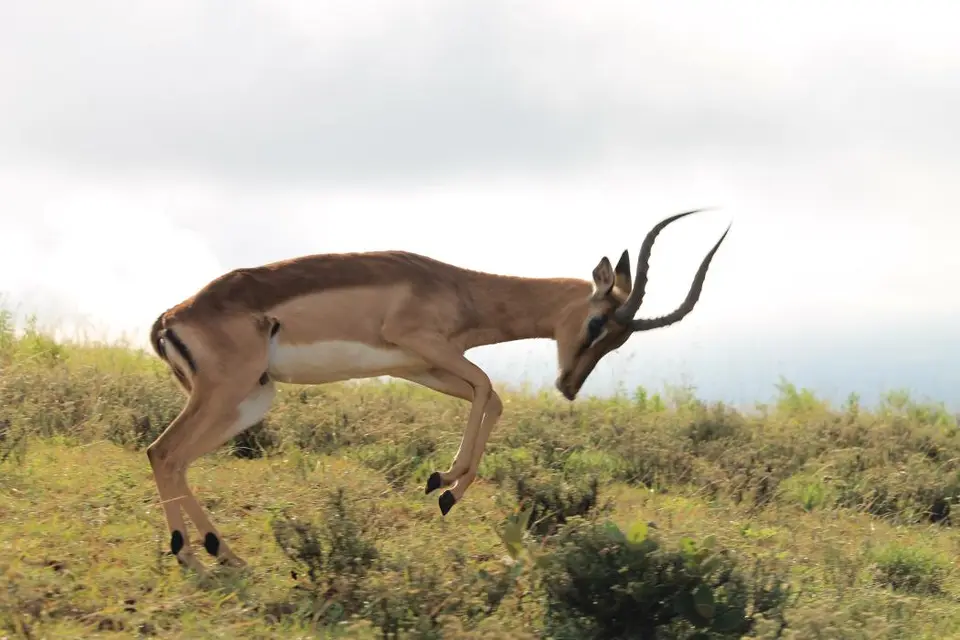 KZN28_(72).jpg