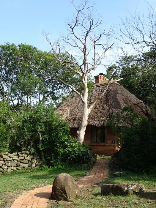 KZN28_(79)-2.jpg