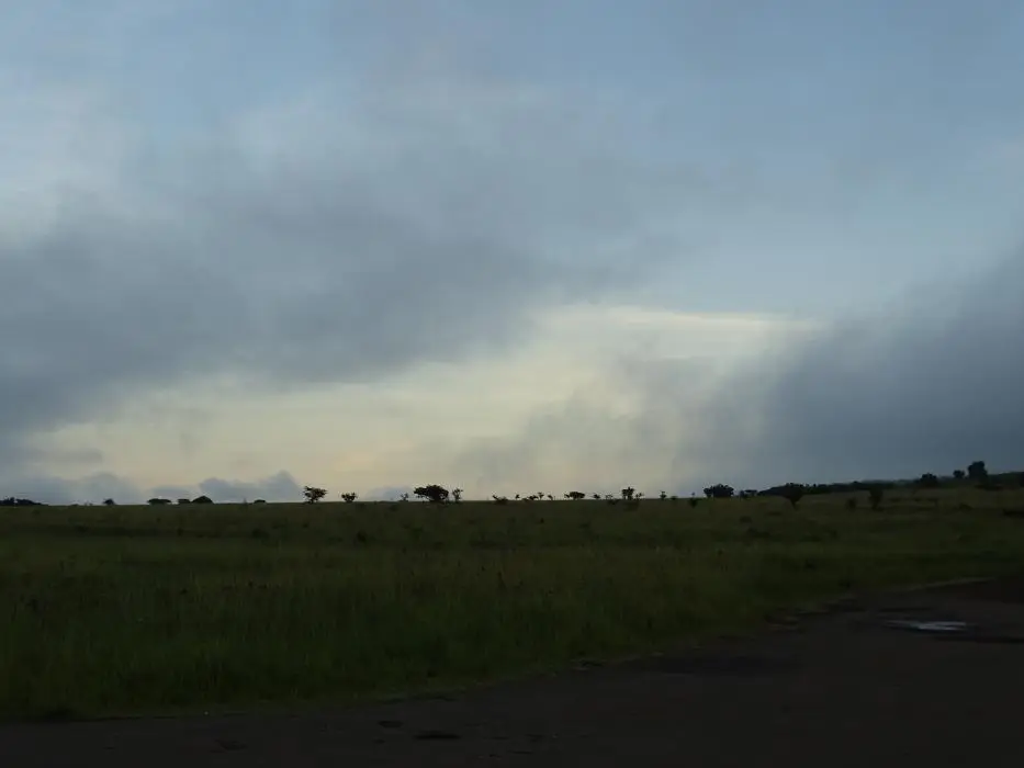 KZN28_(8).jpg