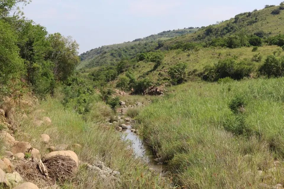 KZN28_(91).jpg