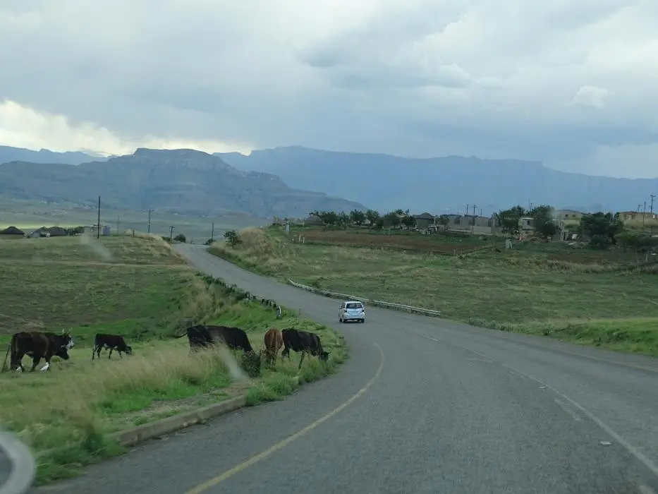 KZN_069.jpg