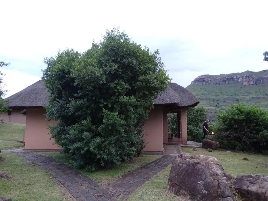 KZN_082.jpg