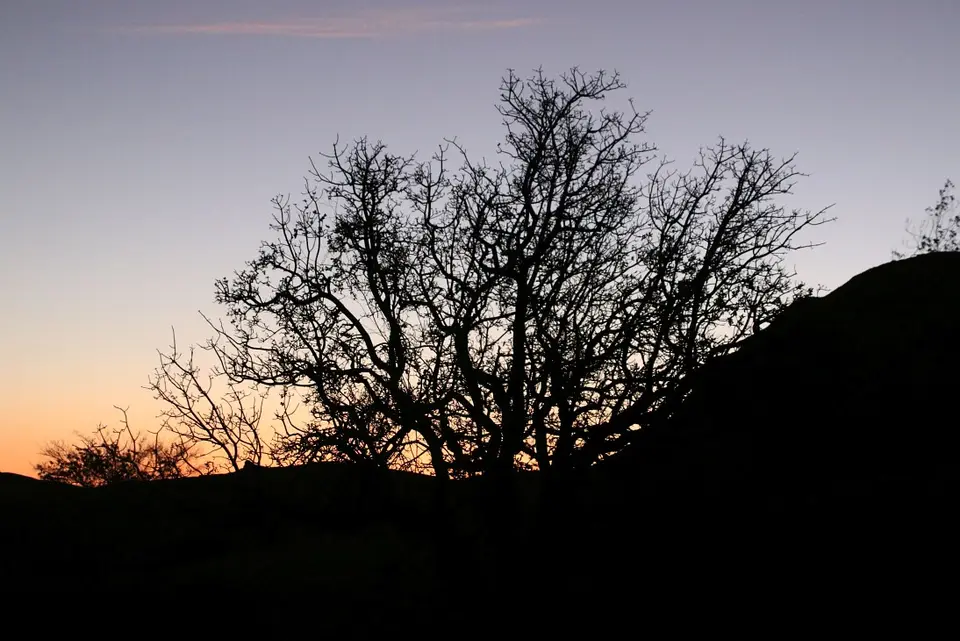 Namibia(117).jpg