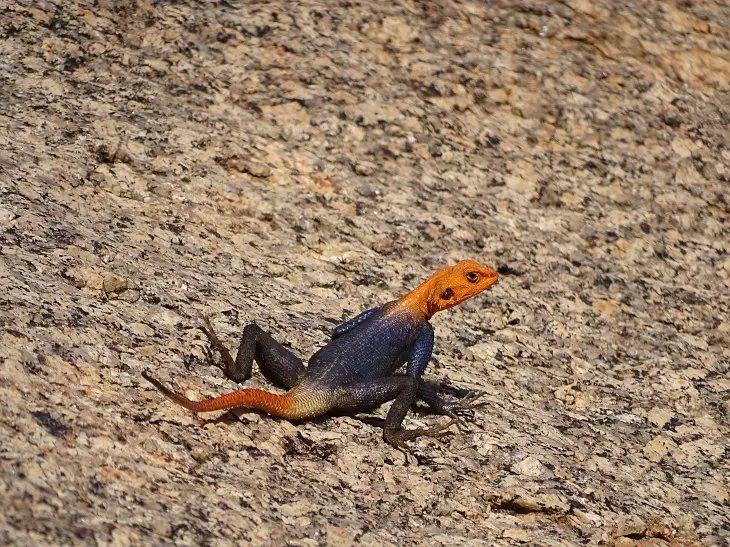 Namibia(50).jpg